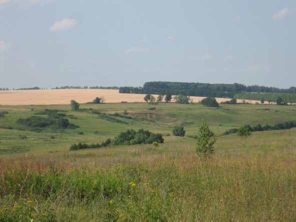 Восточно-Европейская (Русская) равнина
